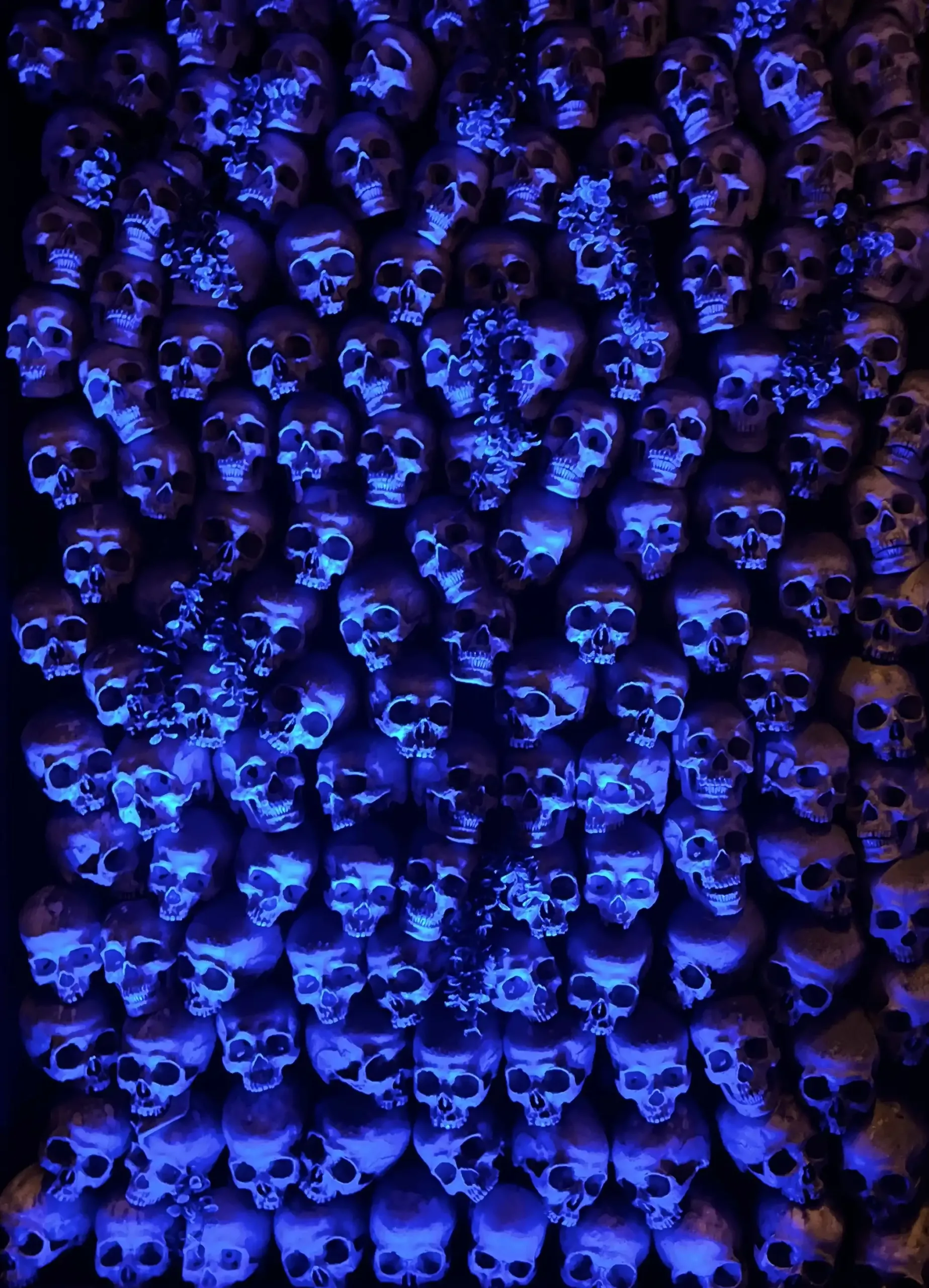 Blue Skulls